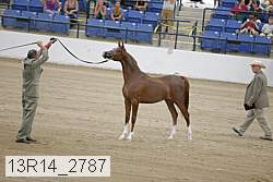 13r14_2787 proof