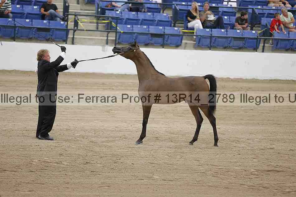 Proof 13r14_2789