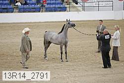 13r14_2791 proof