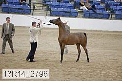 13r14_2796 proof