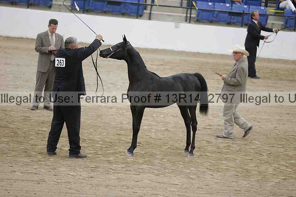 Proof 13r14_2797