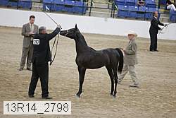 13r14_2798 proof