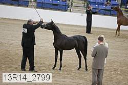 13r14_2799 proof