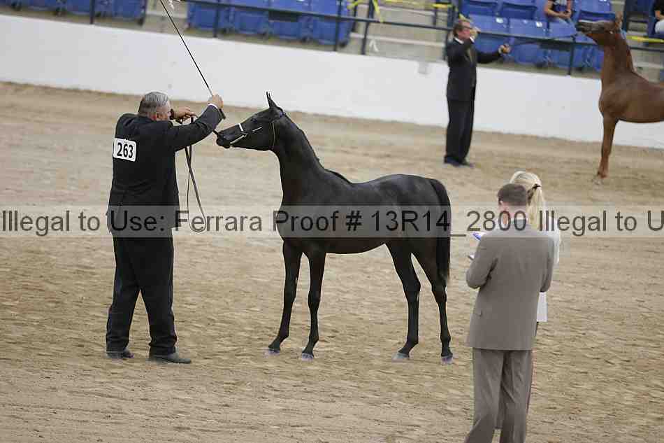Proof 13r14_2800
