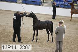 13r14_2800 proof