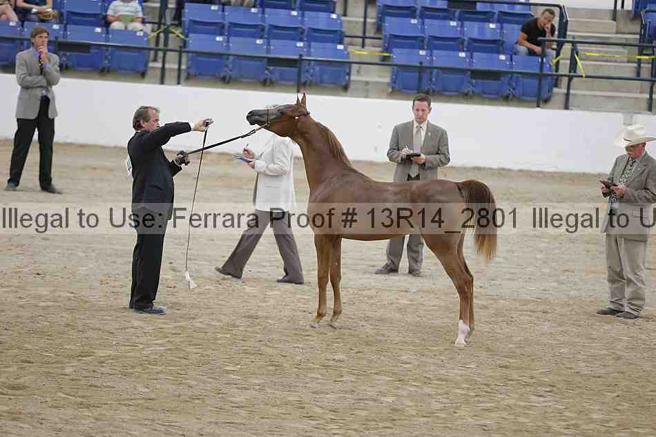 Proof 13r14_2801