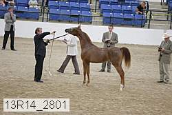 13r14_2801 proof
