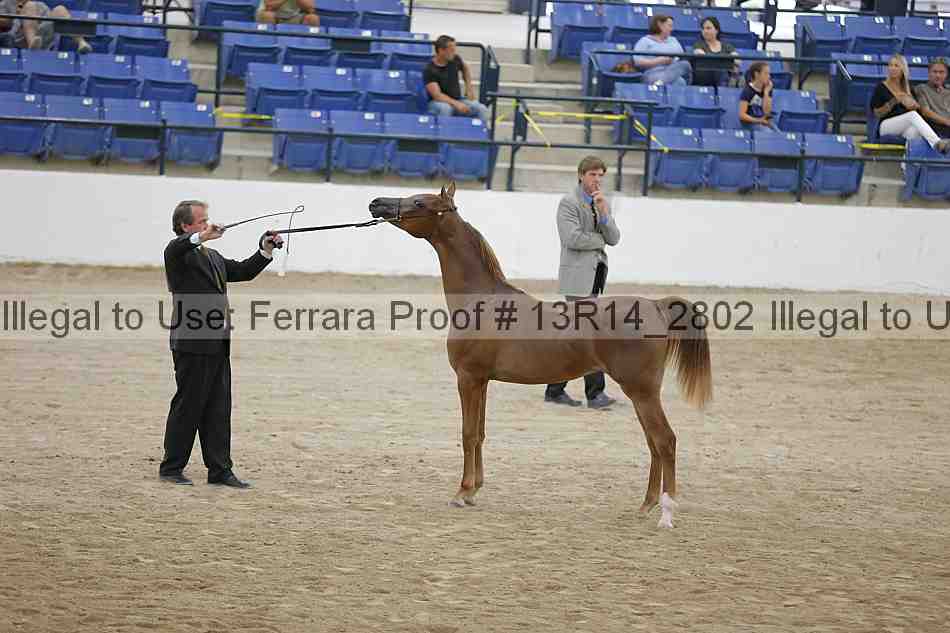 Proof 13r14_2802