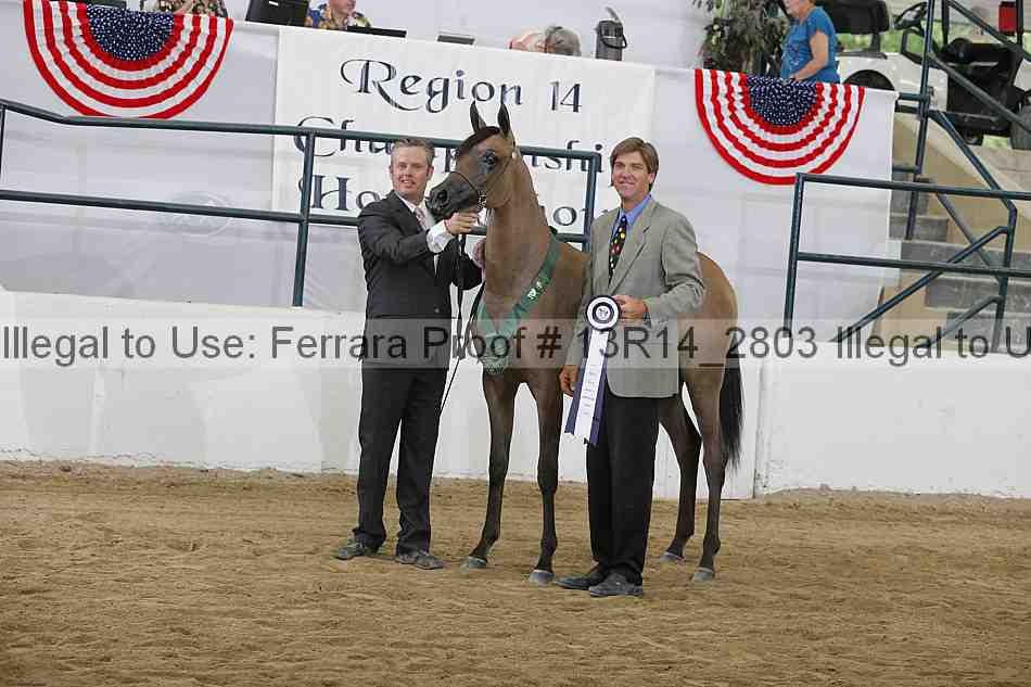 Proof 13r14_2803