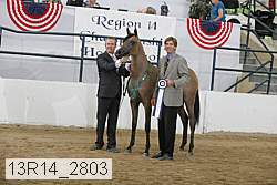 13r14_2803 proof