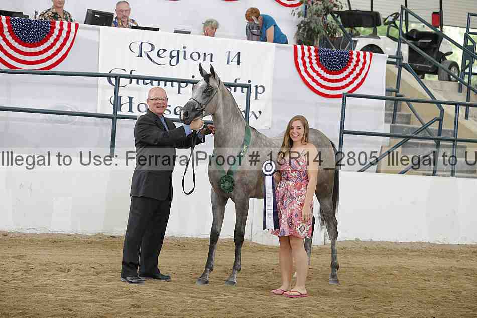 Proof 13r14_2805