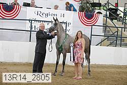 13r14_2805 proof