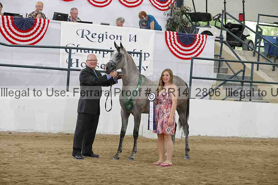Proof 13r14_2806