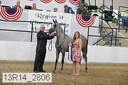 13r14_2806 proof