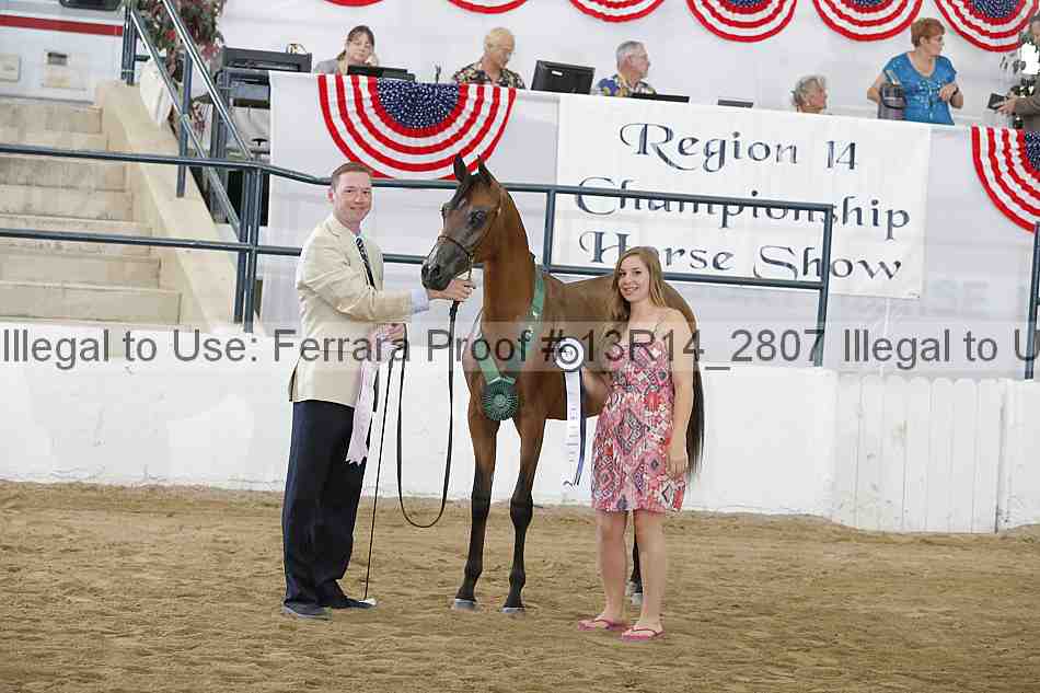 Proof 13r14_2807