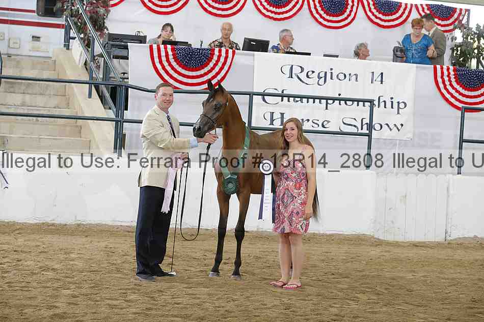 Proof 13r14_2808