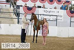 13r14_2808 proof