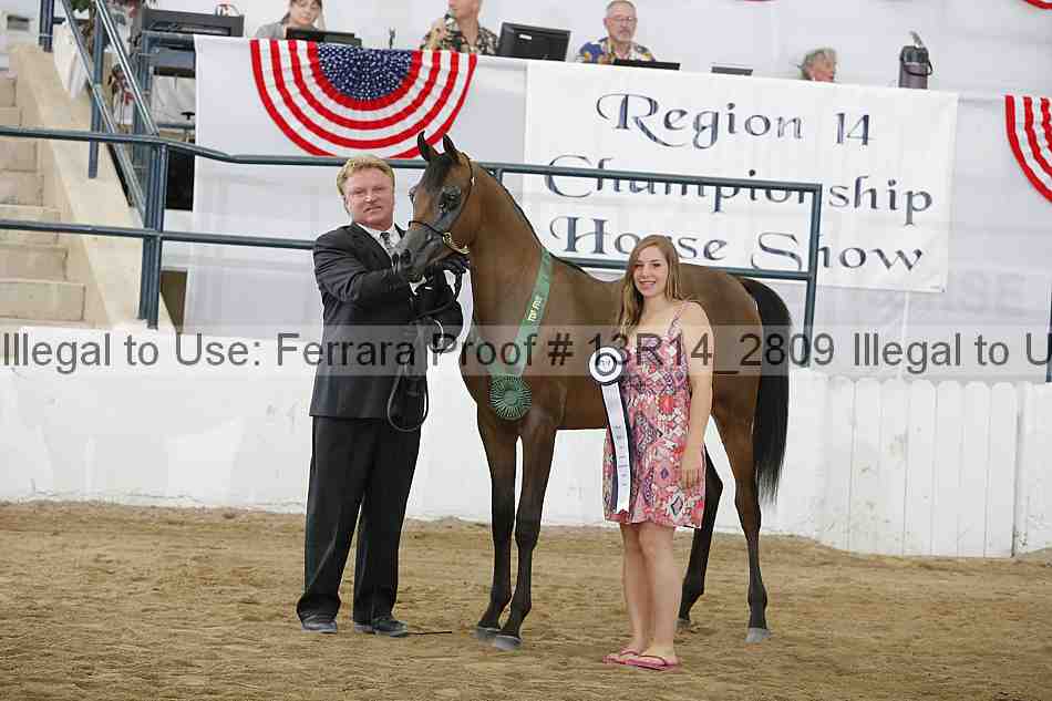 Proof 13r14_2809