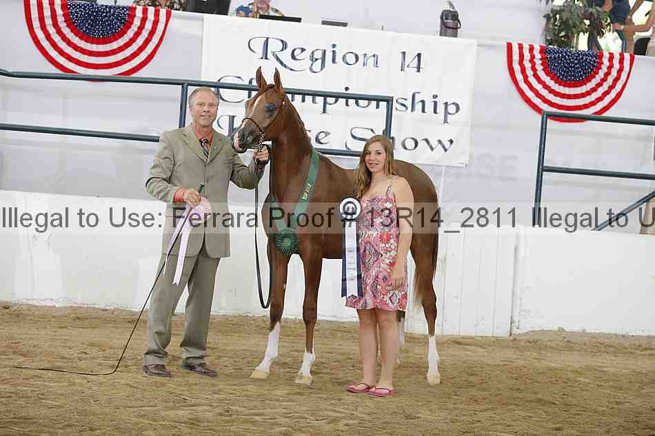 Proof 13r14_2811
