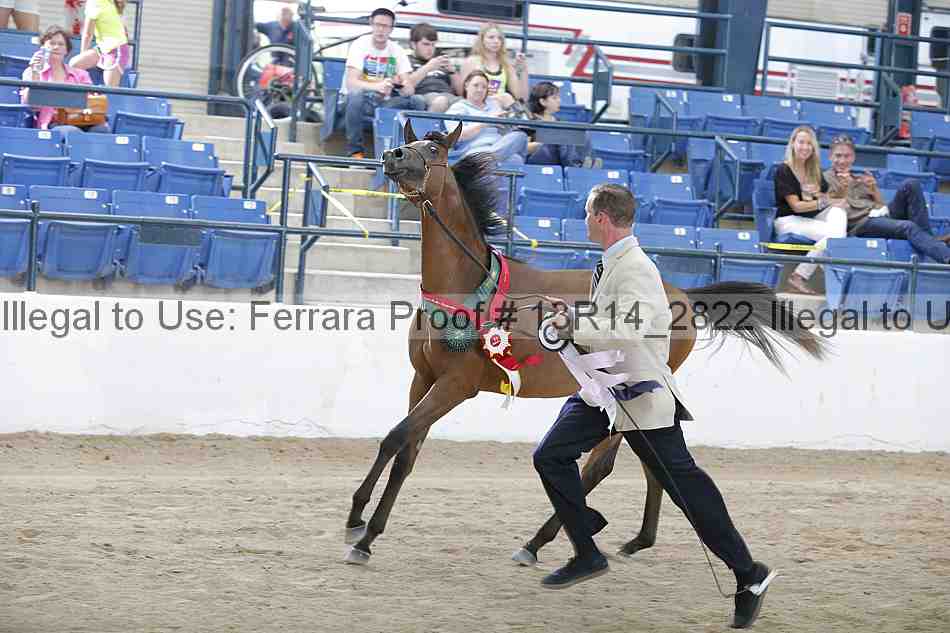 Proof 13r14_2822