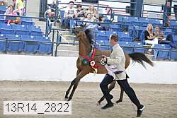 13r14_2822 proof