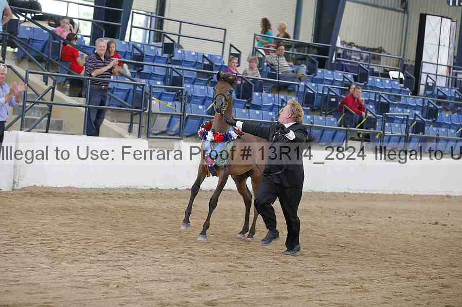 Proof 13r14_2824
