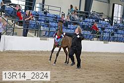 13r14_2824 proof