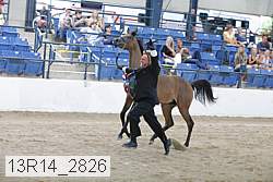 13r14_2826 proof