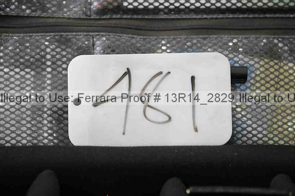 Proof 13r14_2829