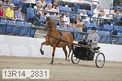 13r14_2831 proof
