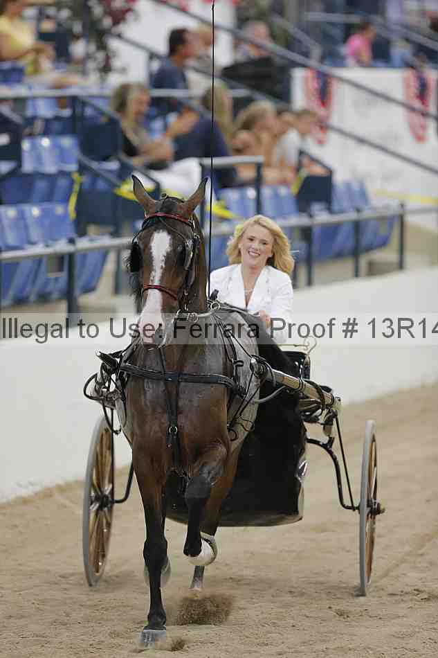 Proof 13r14_2834