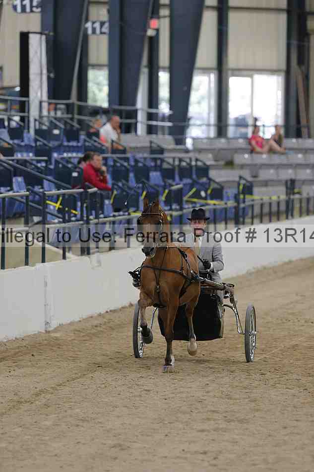 Proof 13r14_2835