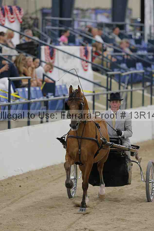 Proof 13r14_2836