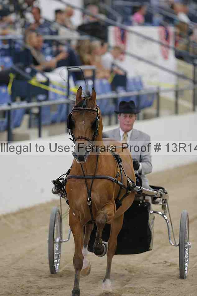 Proof 13r14_2837
