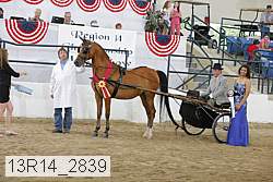 13r14_2839 proof