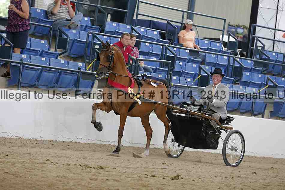 Proof 13r14_2843