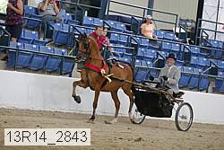 13r14_2843 proof