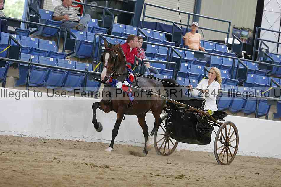 Proof 13r14_2845