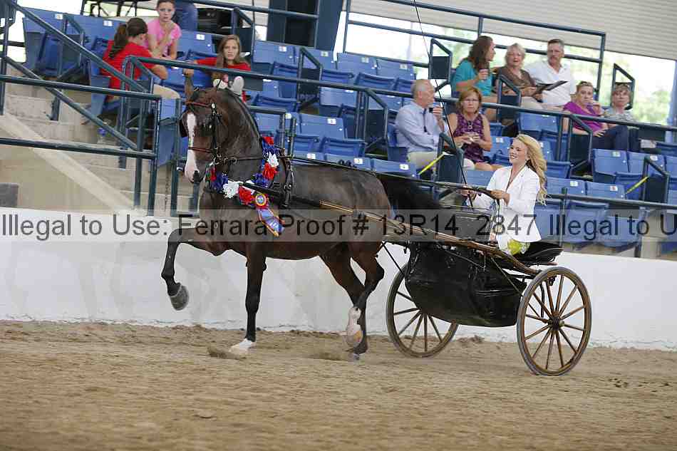 Proof 13r14_2847