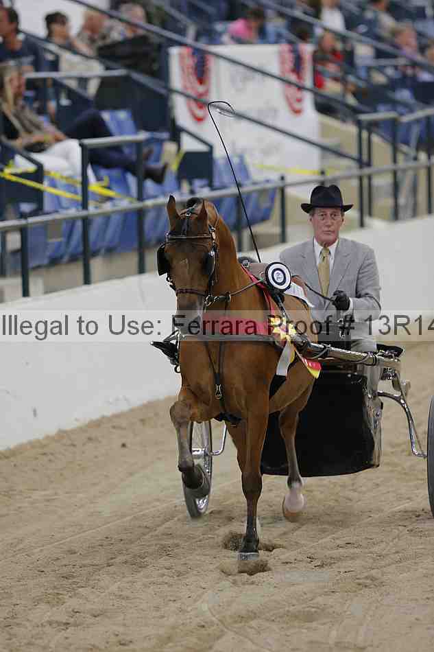 Proof 13r14_2848