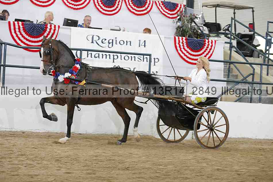 Proof 13r14_2849