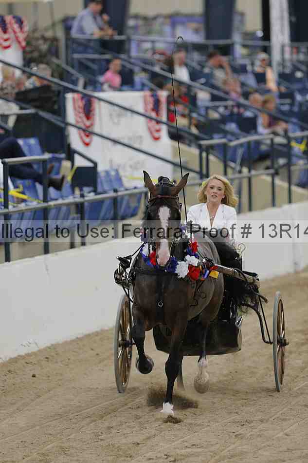 Proof 13r14_2851