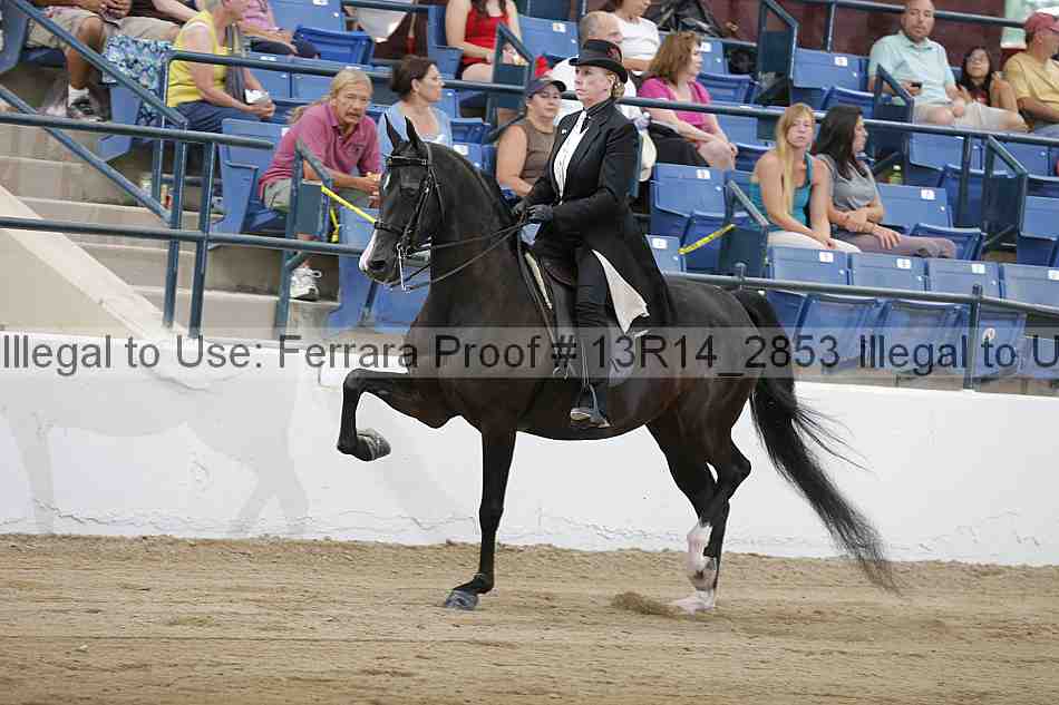 Proof 13r14_2853