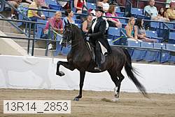 13r14_2853 proof