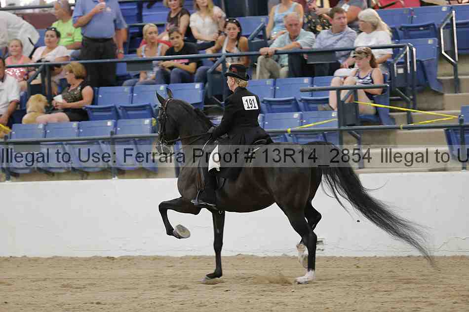 Proof 13r14_2854