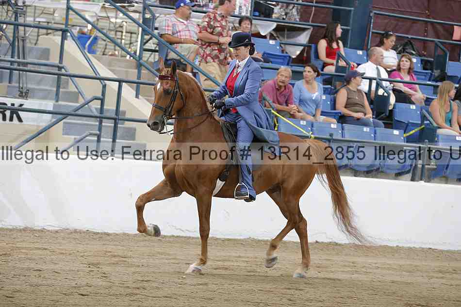 Proof 13r14_2855