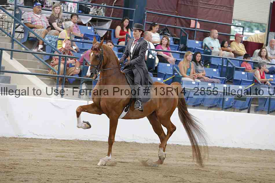 Proof 13r14_2856