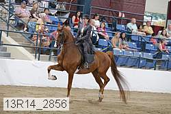 13r14_2856 proof