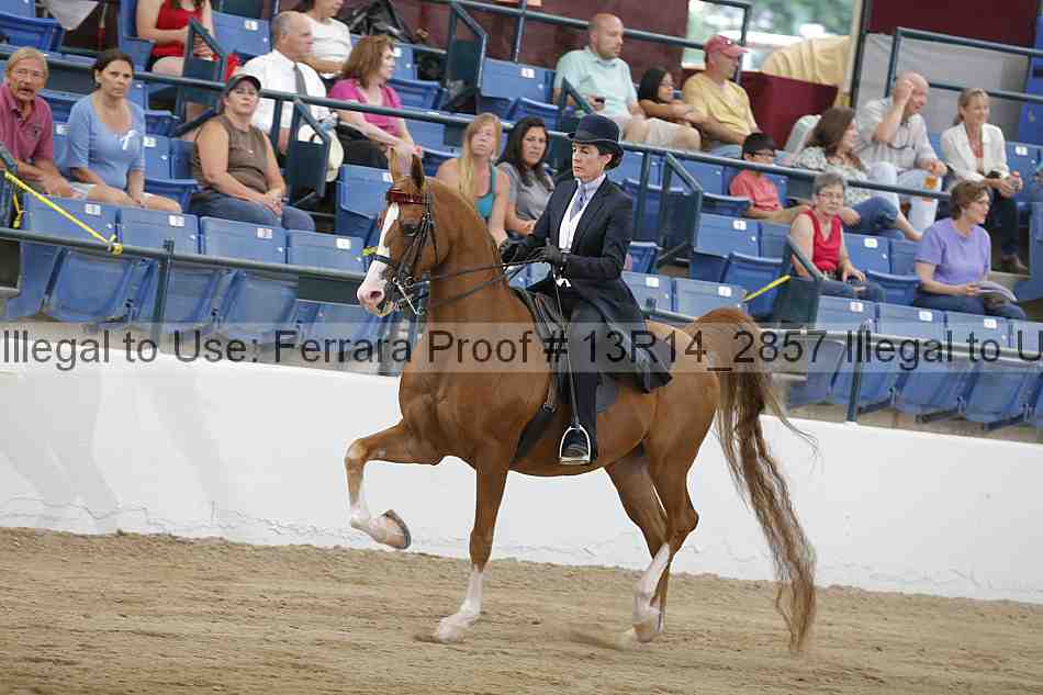 Proof 13r14_2857