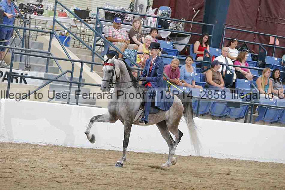 Proof 13r14_2858